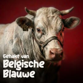 Gehakt van Belgisch Blauwe