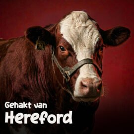 Hereford IMG (1)