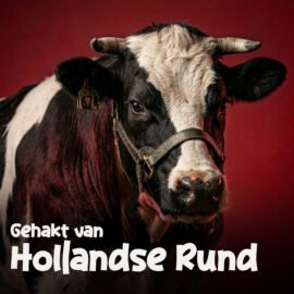 HollandseRund (1)