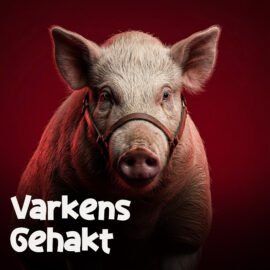 Varkens gehakt