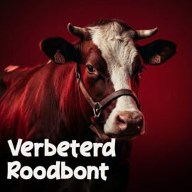 Verbeterd roodbont